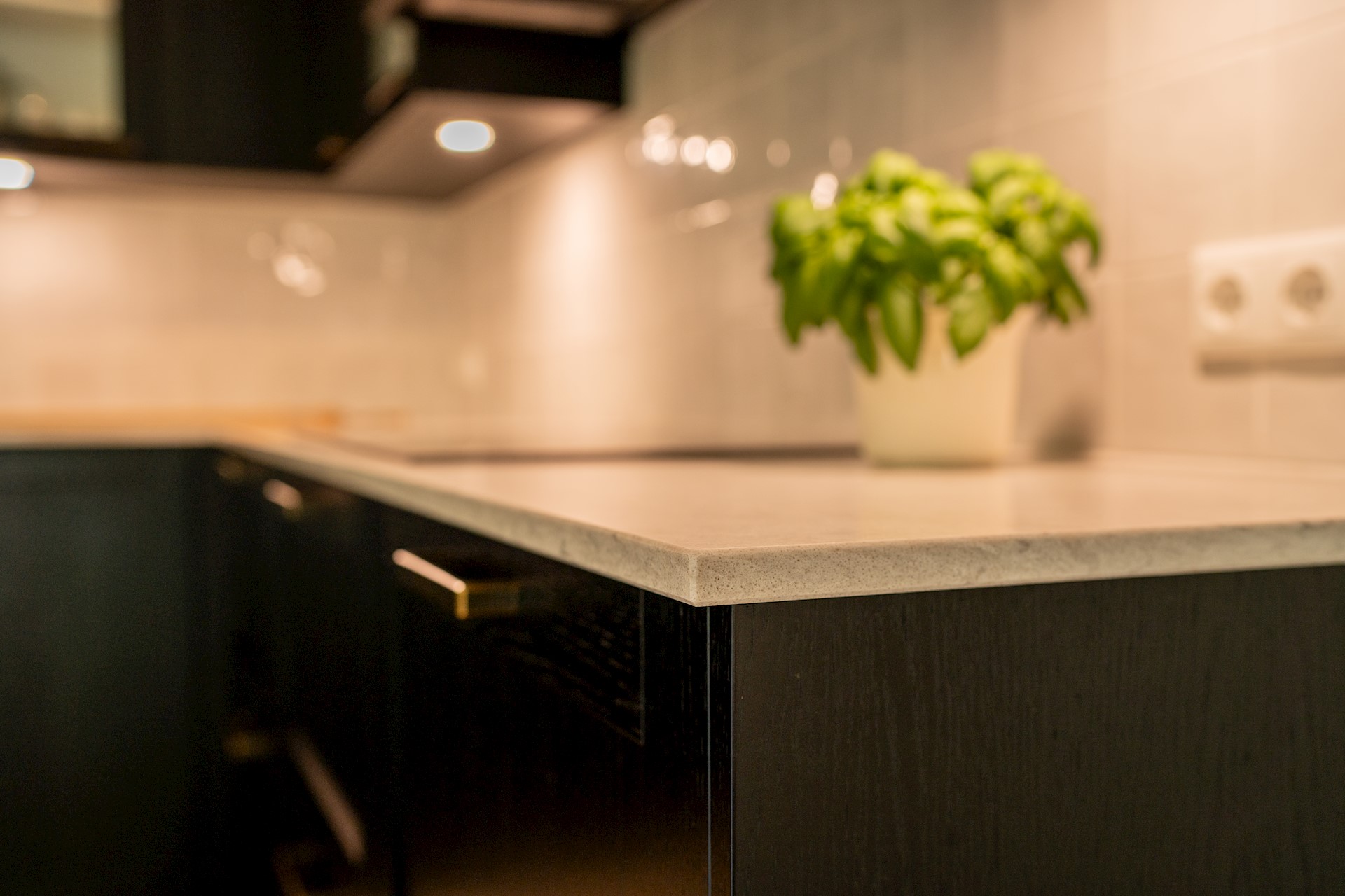 The Brandwagon2025may28103308